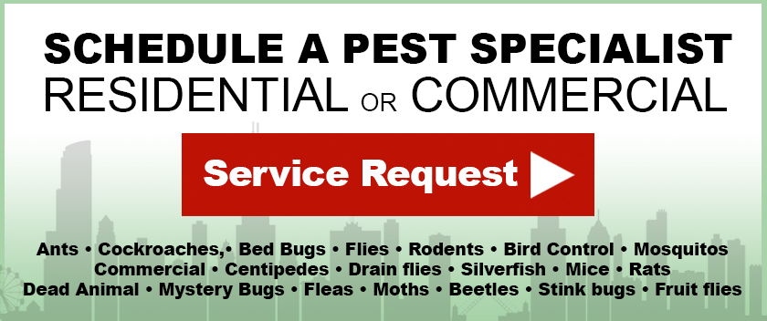 Request Bedbug Pest Control in Chicago IL 60641